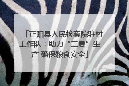 正阳县人民检察院驻村工作队：助力“三夏”生产 确保粮食安全