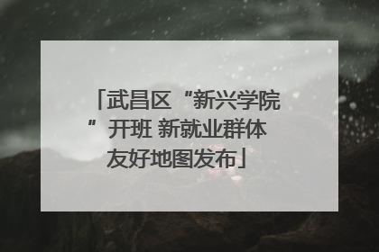 武昌区“新兴学院”开班 新就业群体友好地图发布