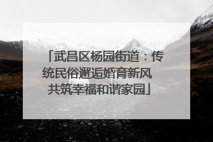 武昌区杨园街道：传统民俗邂逅婚育新风 共筑幸福和谐家园