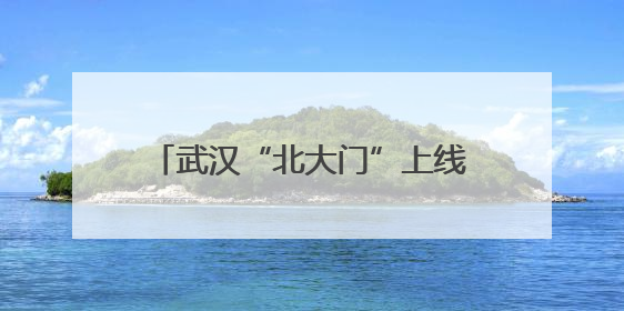 武汉“北大门”上线35座木质售卖亭