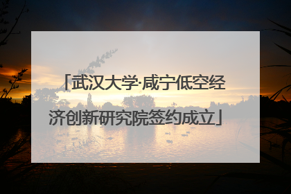 武汉大学·咸宁低空经济创新研究院签约成立