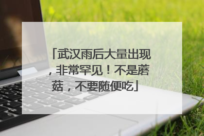 武汉雨后大量出现，非常罕见！不是蘑菇，不要随便吃