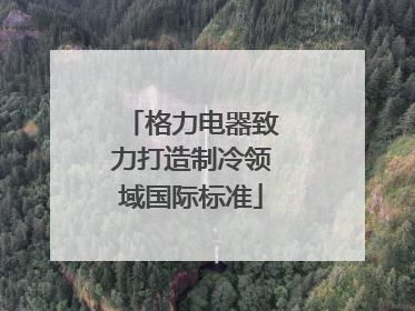 格力电器致力打造制冷领域国际标准