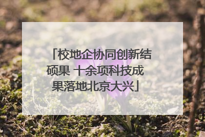 校地企协同创新结硕果 十余项科技成果落地北京大兴