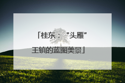 桂东：“头雁”王镇的蓝图美景