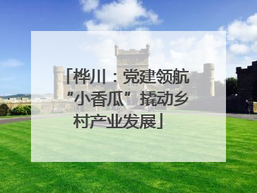 桦川：党建领航“小香瓜”撬动乡村产业发展