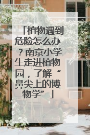 植物遇到危险怎么办？南京小学生走进植物园，了解“鼻尖上的博物学”