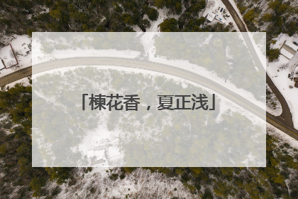 楝花香，夏正浅