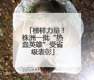 榜样力量！株洲一批“热血英雄”受省级表彰
