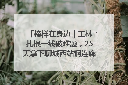 榜样在身边｜王林：扎根一线破难题，25天拿下聊城西站钢连廊“硬核”工程