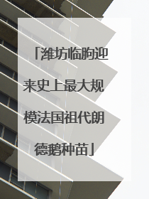 潍坊临朐迎来史上最大规模法国祖代朗德鹅种苗