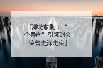 潍坊临朐：“三个导向”引领财会监督走深走实