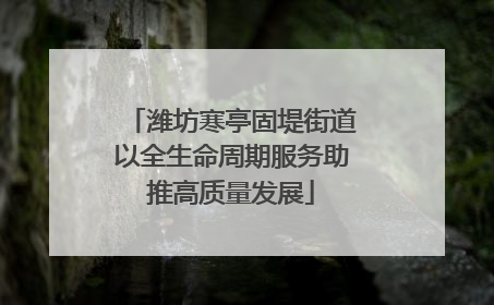 潍坊寒亭固堤街道以全生命周期服务助推高质量发展