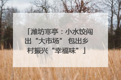潍坊寒亭：小水饺闯出“大市场” 包出乡村振兴“幸福味”