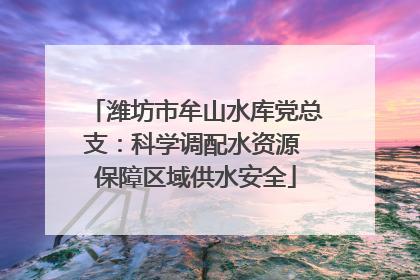 潍坊市牟山水库党总支：科学调配水资源 保障区域供水安全