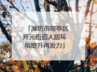 潍坊市寒亭区开元街道人居环境提升再发力