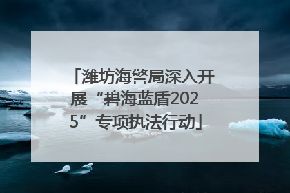 潍坊海警局深入开展“碧海蓝盾2025”专项执法行动