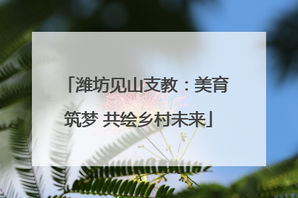 潍坊见山支教：美育筑梦 共绘乡村未来