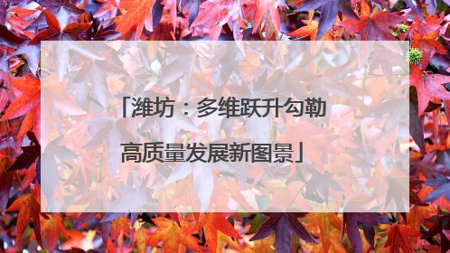 潍坊：多维跃升勾勒高质量发展新图景