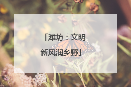 潍坊：文明新风润乡野