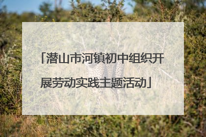 潜山市河镇初中组织开展劳动实践主题活动