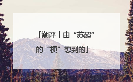 潮评丨由“苏超”的“梗”想到的
