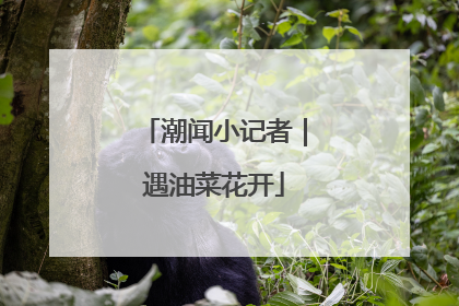 潮闻小记者｜遇油菜花开