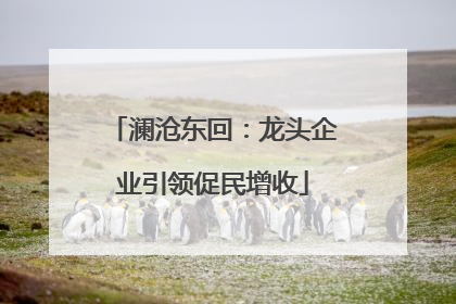 澜沧东回：龙头企业引领促民增收