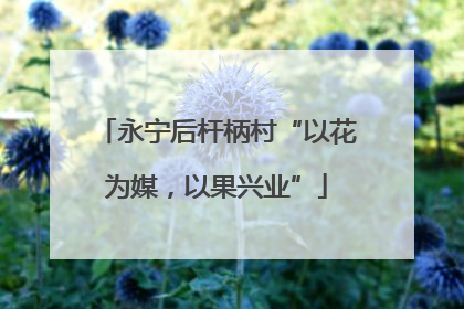 永宁后杆柄村“以花为媒，以果兴业”