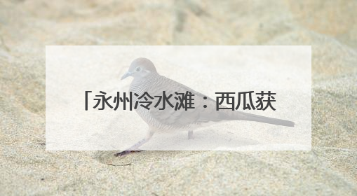 永州冷水滩：西瓜获丰收 瓜农笑开怀