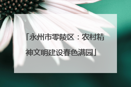 永州市零陵区：农村精神文明建设春色满园