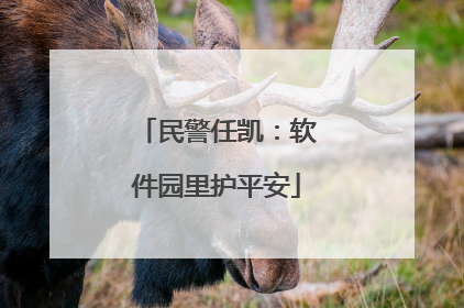 民警任凯：软件园里护平安