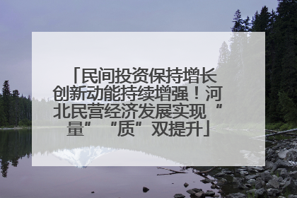 民间投资保持增长 创新动能持续增强！河北民营经济发展实现“量”“质”双提升