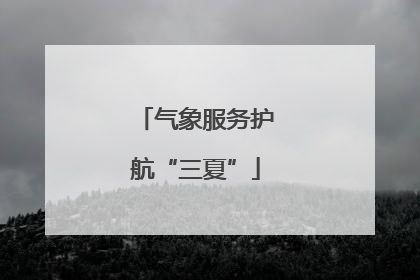 气象服务护航“三夏”