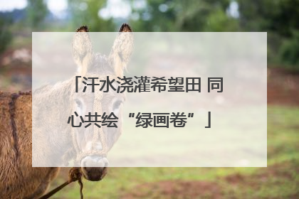 汗水浇灌希望田 同心共绘“绿画卷”