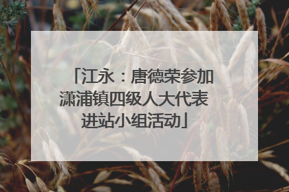 江永：唐德荣参加潇浦镇四级人大代表进站小组活动