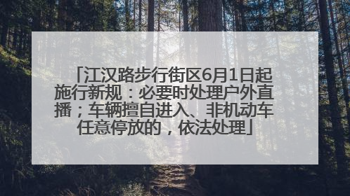 江汉路步行街区6月1日起施行新规：必要时处理户外直播；车辆擅自进入、非机动车任意停放的，依法处理