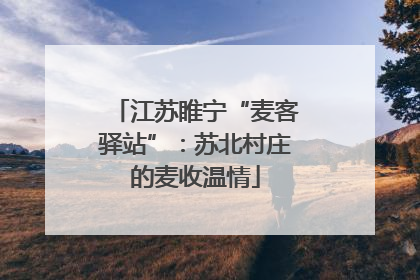 江苏睢宁“麦客驿站”：苏北村庄的麦收温情