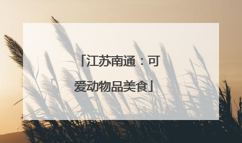 江苏南通：可爱动物品美食