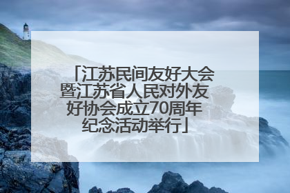 江苏民间友好大会暨江苏省人民对外友好协会成立70周年纪念活动举行