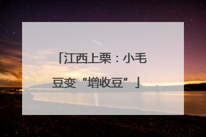 江西上栗：小毛豆变“增收豆”