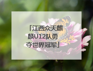 江西众天麒麟U12队勇夺世界冠军