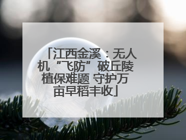江西金溪：无人机“飞防”破丘陵植保难题 守护万亩早稻丰收