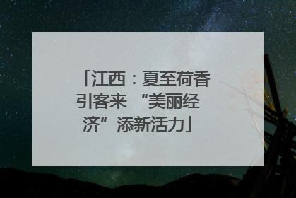 江西：夏至荷香引客来 “美丽经济”添新活力