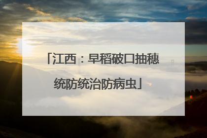 江西：早稻破口抽穗 统防统治防病虫