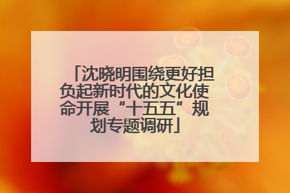 沈晓明围绕更好担负起新时代的文化使命开展“十五五”规划专题调研