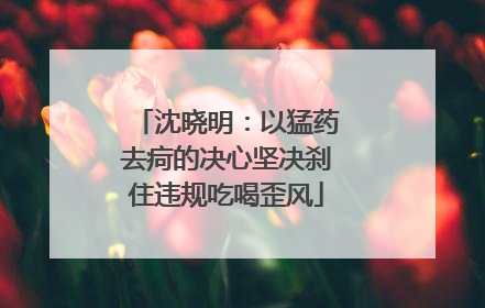 沈晓明：以猛药去疴的决心坚决刹住违规吃喝歪风