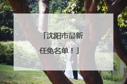 沈阳市最新任免名单！
