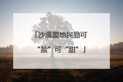 沙漠腹地民勤可“盐”可“甜”