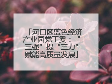 河口区蓝色经济产业园党工委：“三强”提“三力”赋能高质量发展